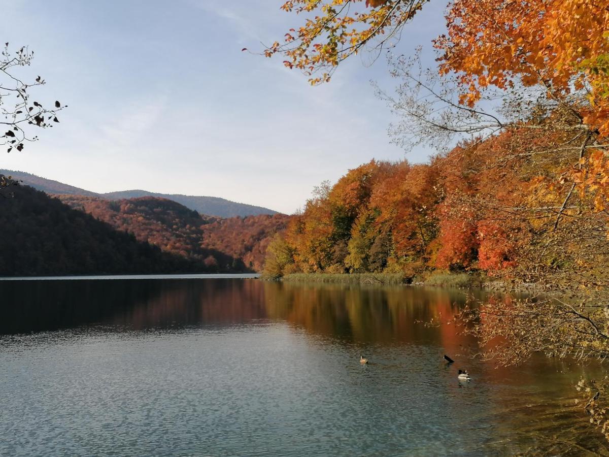 Plitvice Lakes Konak Daic イェゼルツェ エクステリア 写真
